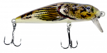 BULLHEAD MINNOW - W660 2060-69