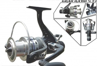 BLACK CARP